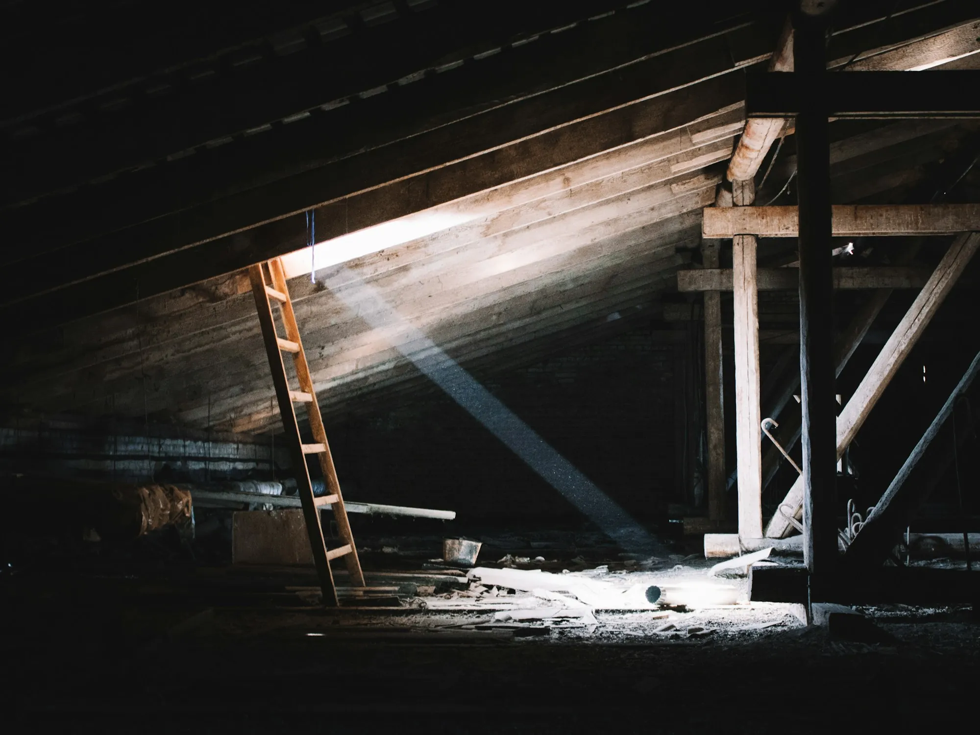 Ladder propped in a dim attic with sunlight through the roof framing